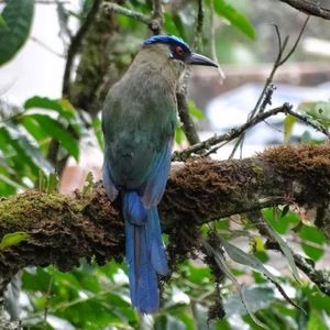 Meet your Posher, Barolo